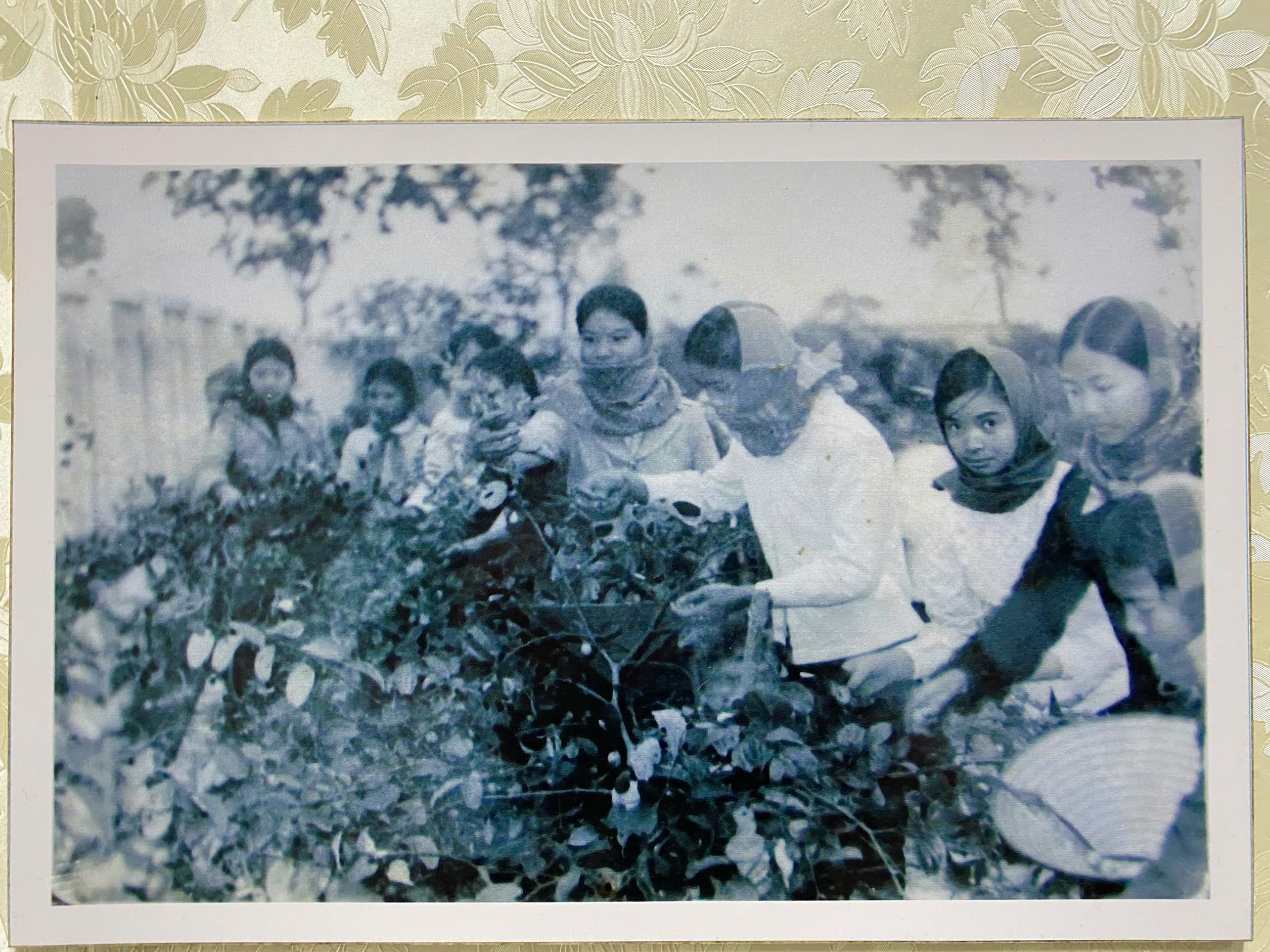 Vượt khó thời chiến